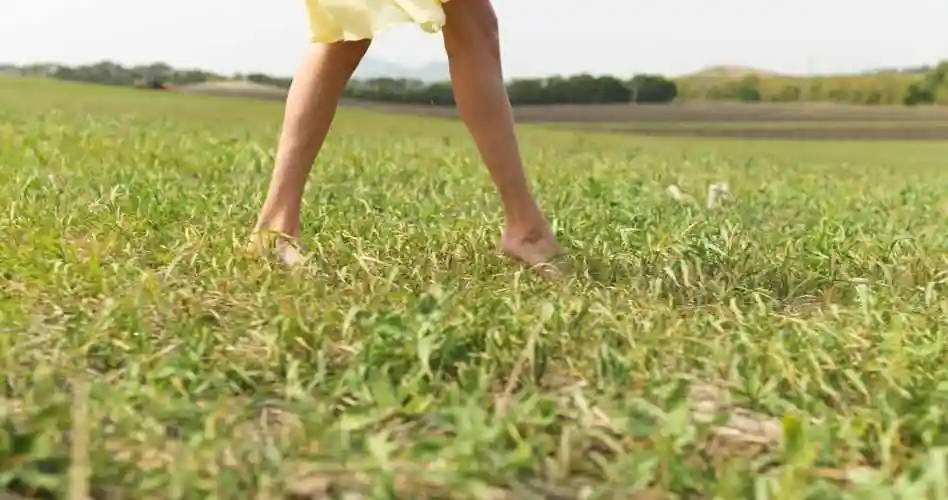 美女光脚森林行走,清新自然视频素材