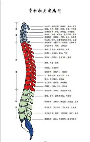 免费治愈74颈椎病,腰椎病