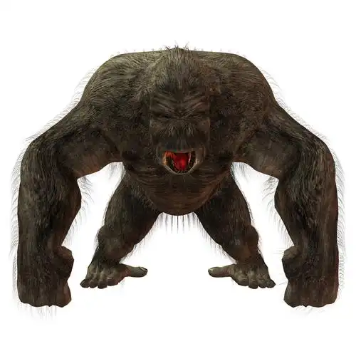 银背大猩猩,大猩猩