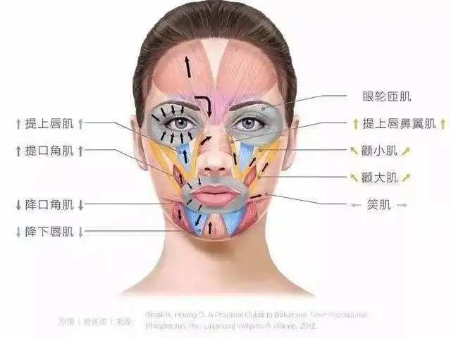 头一次见面部肌肉如此亢奋的美女