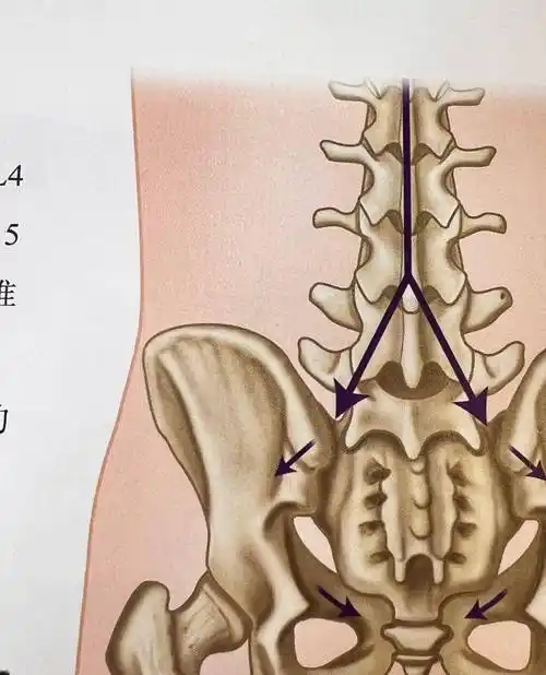 坐久了腰窝疼,真不怪腰,可能是这里出了大问题!_关节_活动_姿势