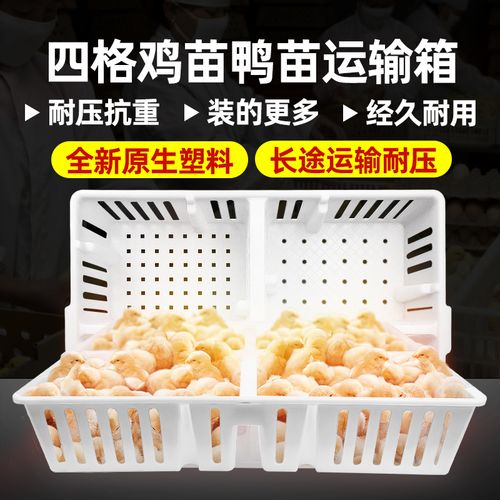 鸡苗运输箱 雏鸡小鸡运输框运输笼 加厚塑料鸡笼禽用养鸡设备器械