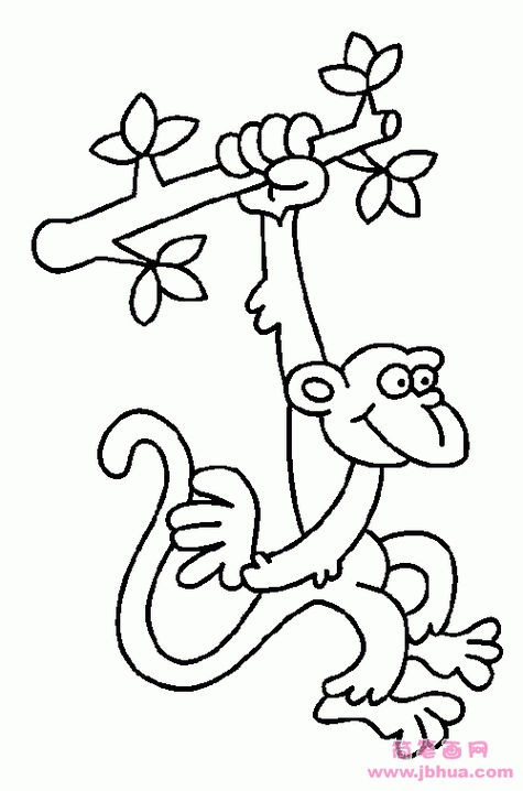 画一只猴子在树上的简笔画