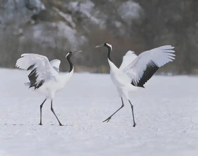 人文,旅游,休闲