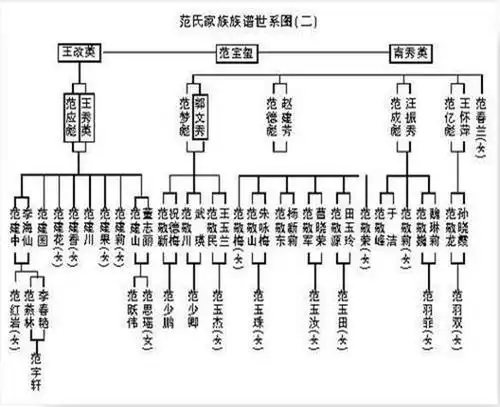 家谱制作世系图介绍