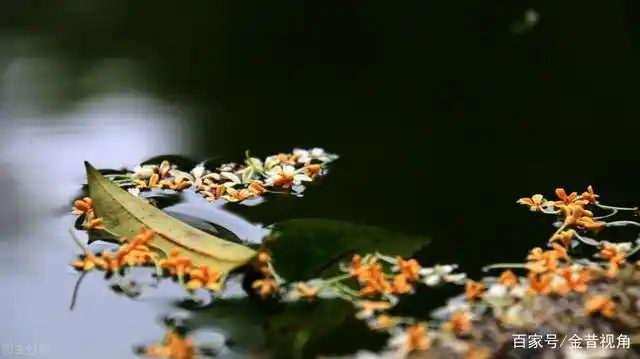 聂磊vs新疆帮3┃志豪猛虎归山,为兄弟买切糕