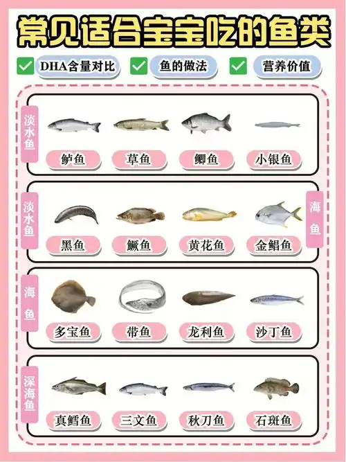 适合宝宝吃的鱼类育儿师干货分享