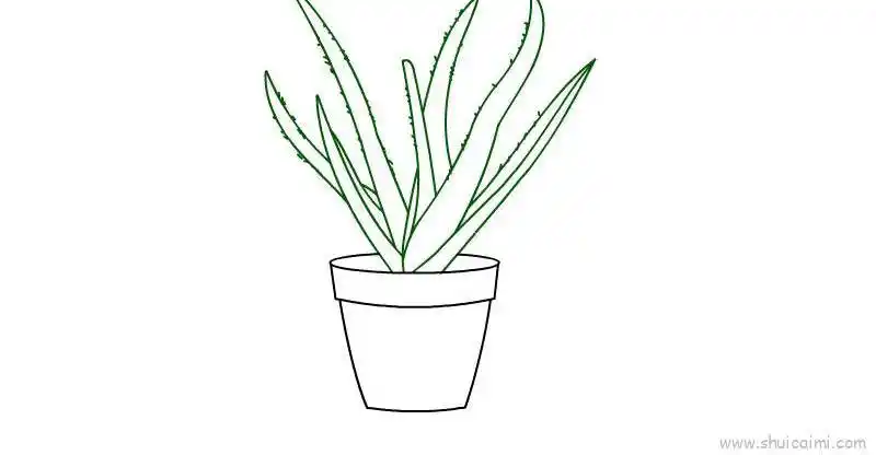 花盆儿童画怎么画 花盆简笔画图片