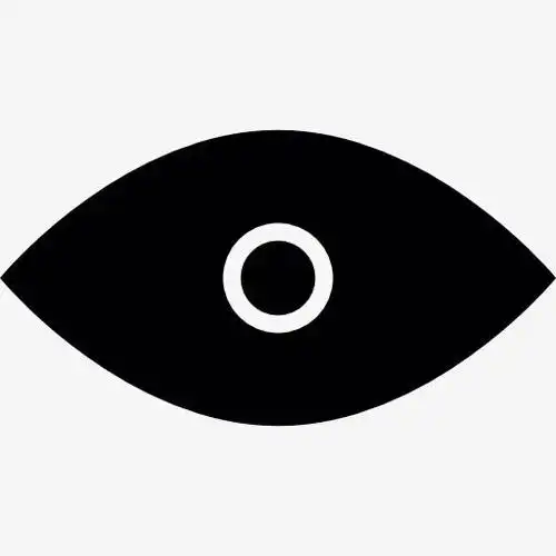 眼睛的瞳孔图标