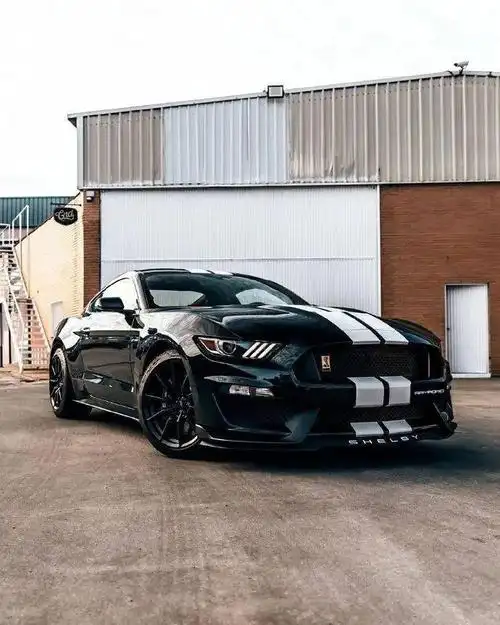 福特野马shelby gt350,终极眼镜蛇