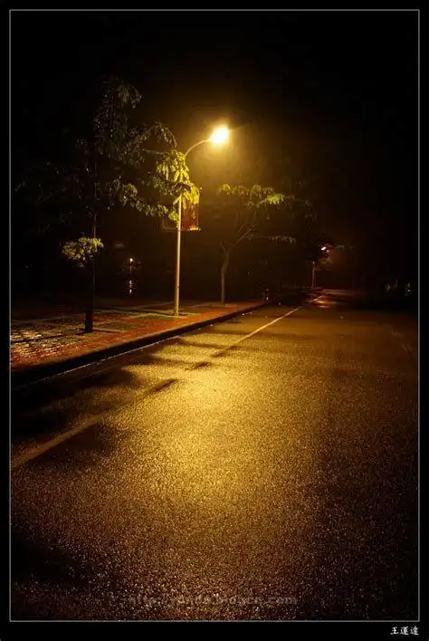 在睡意朦胧时它总如约而来 偶尔还行 可多了就觉的烦了 黑夜是安静的