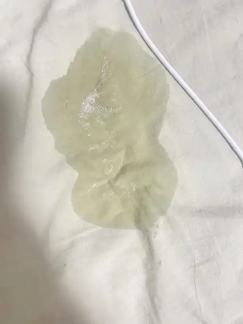 猫突然吐这样的粘液