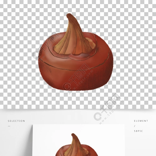 荸荠马蹄蔬菜水果手绘