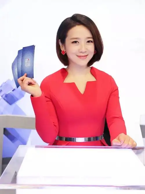 毕业于哈佛大学肯尼迪政府学院 独立财经双语主持人,艾问传媒创始人