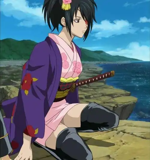 银魂 柳生九兵卫