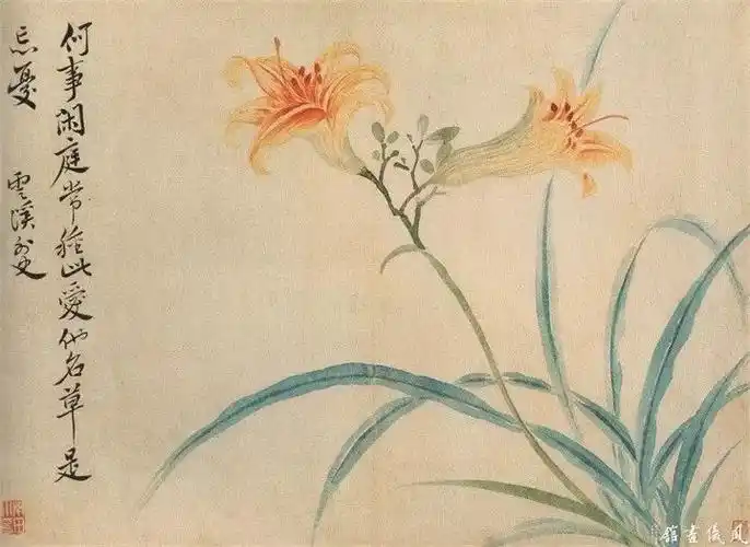 恽寿平最美的235幅没骨花鸟画