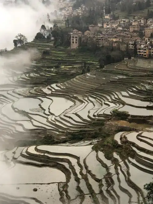 元阳哈尼梯田专辑