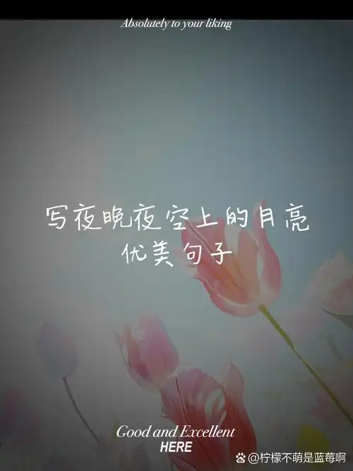 写夜晚夜空上的月亮优美句子 你在月光下孤独地寻找着灵感 它轻轻摇曳