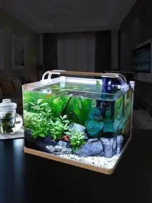 养金渔缸超白玻璃鱼缸水族箱客厅小型生态草缸桌面造景缸家用