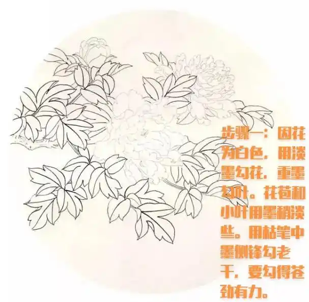 国画 #国画也抖音 #国画教程 #工笔花鸟#工笔画 国色天 - 抖音