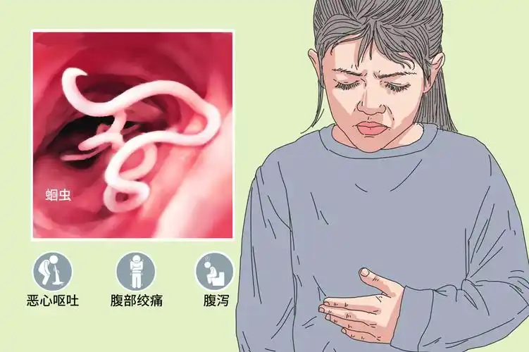 蛔虫病