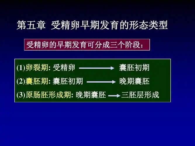 (1)卵裂期: 受精卵 (2)囊胚期: 囊胚初期 囊胚初期 晚期囊胚 (3)原