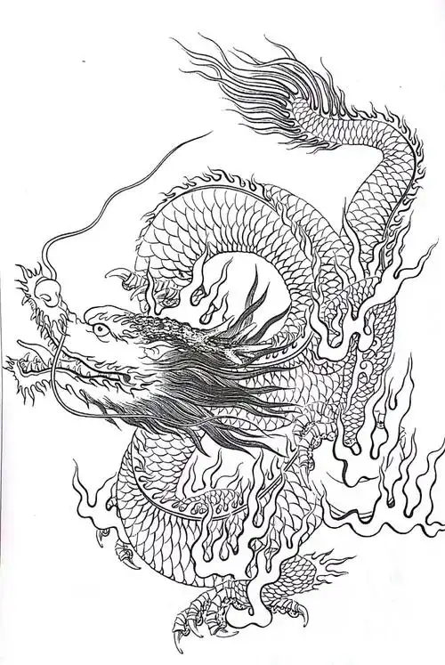 美术作品白描画稿中国龙