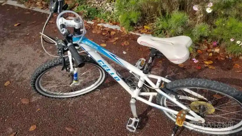正品三千里牌自行车6万水原站
