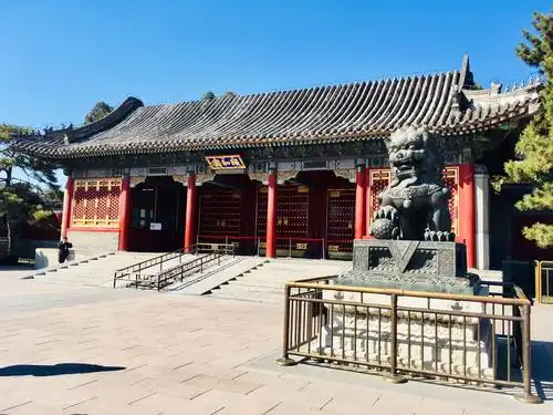 2019年3月15日游颐和园观景赏花