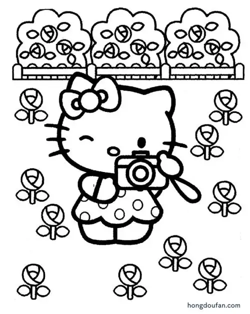 花园中拍照的凯蒂猫hellokitty涂色卡通简笔画大全