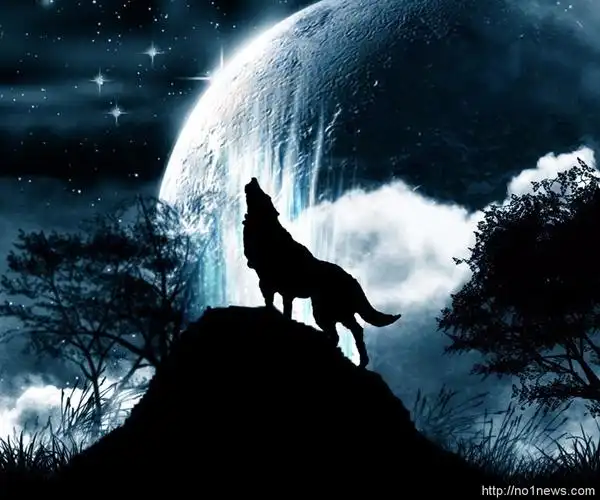 在创业和投资过程中,是应该像孤狼一样独立思考,还是像羊群一样互相