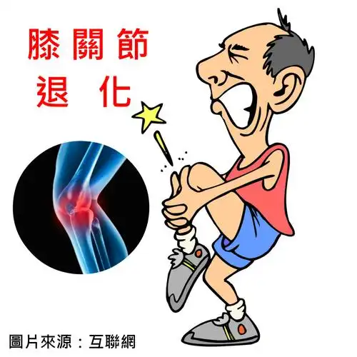 膝关节退化 | 主页