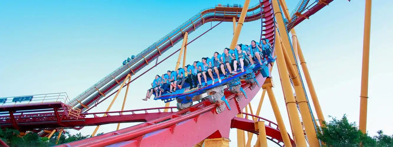 【全网特惠限量放送】长隆欢乐世界圣诞夜场 园区内自助餐成人票