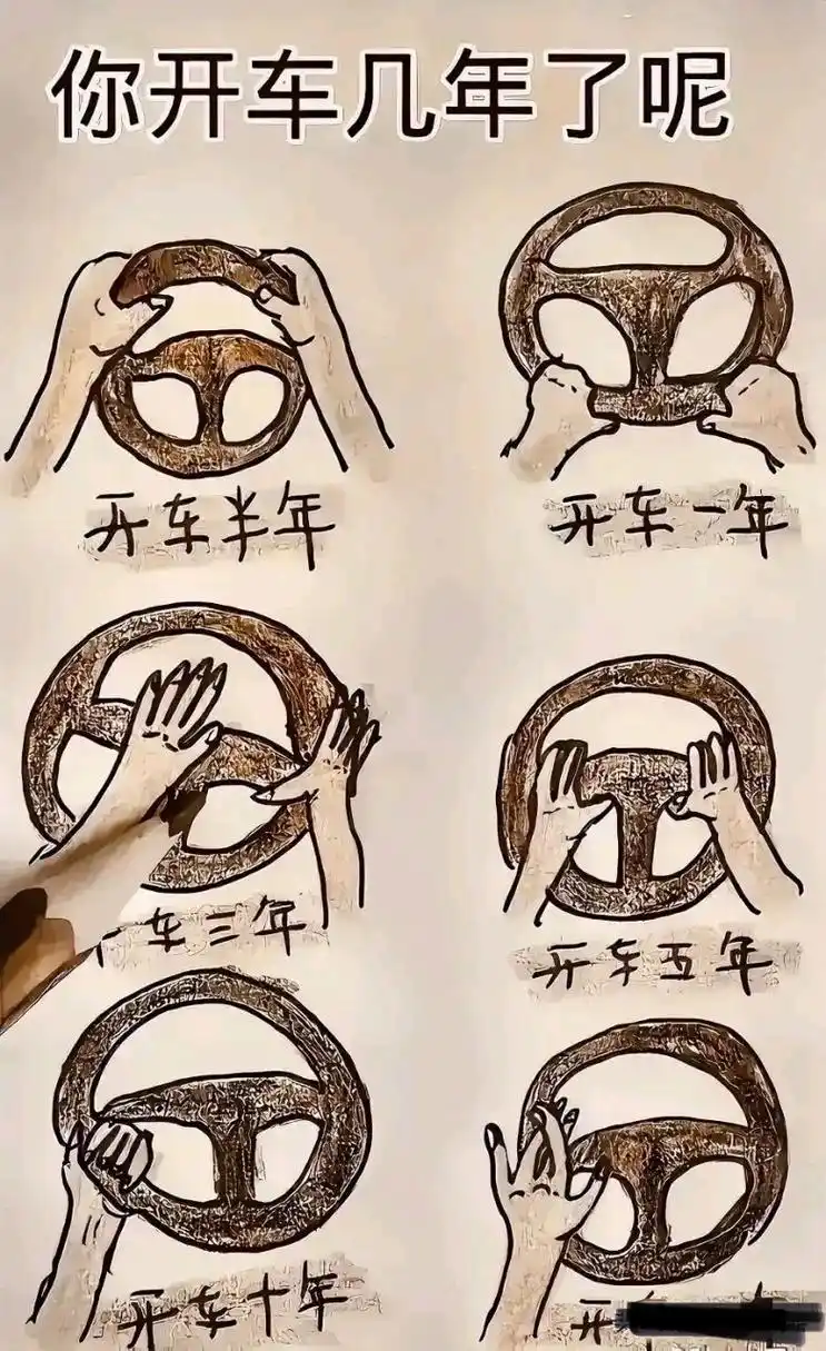 开车第三年就开始思考省力高效握方向盘了,既潇洒又好看,厉害,初学者