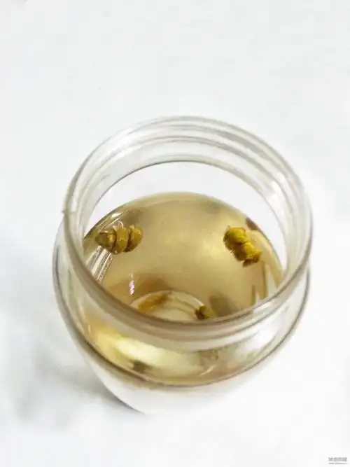 铁皮石斛泡水的功效作用铁皮石斛具有改善和提升五脏六腑的功能,由