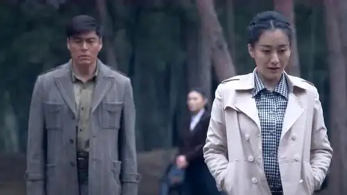 绝路逢生:听到日本人投降了,林虹激动的哭了-影视综视频-搜狐视频