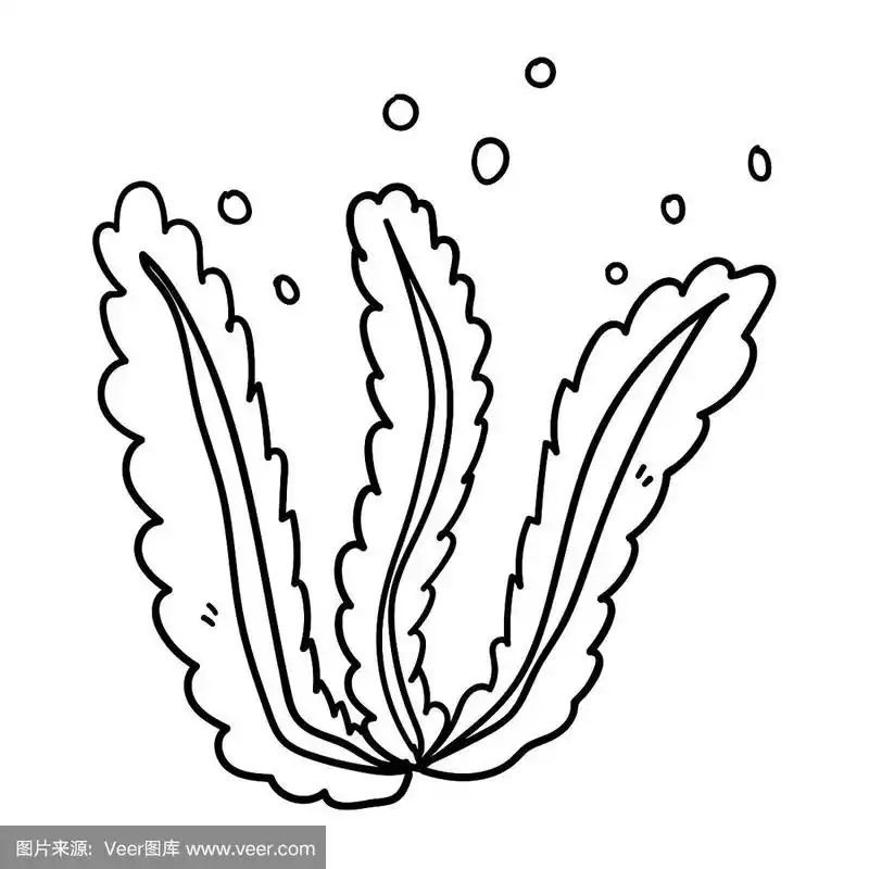 可爱的卡通涂鸦海藻孤立在白色的背景.水下自然.矢量插图.