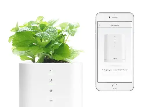 当前的智能花园