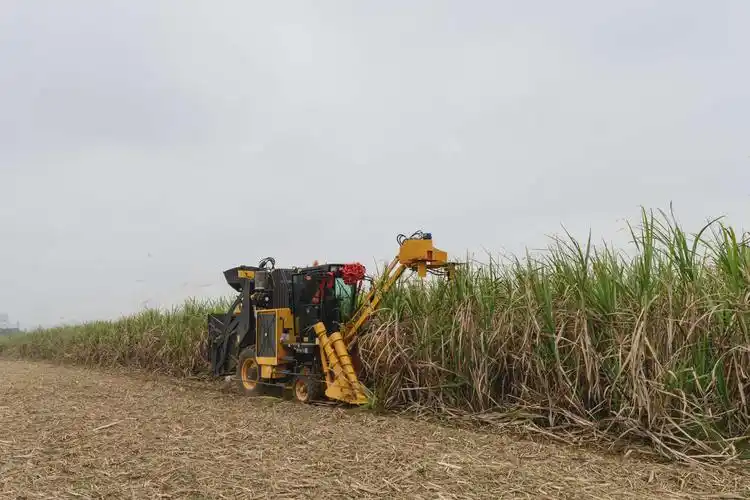 柳工系列农机——甘蔗收割机 摄影/刘策
