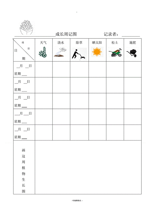植物观察记录表pdf6页