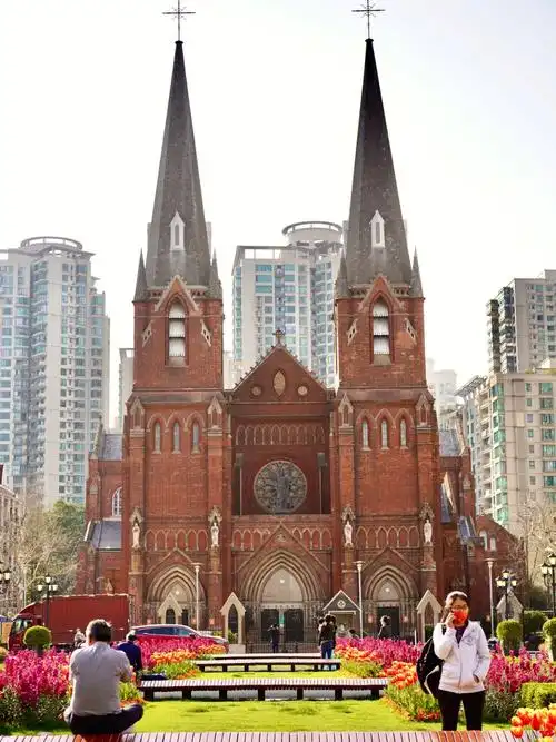 最美的大教堂最美的郁金香上海徐家汇