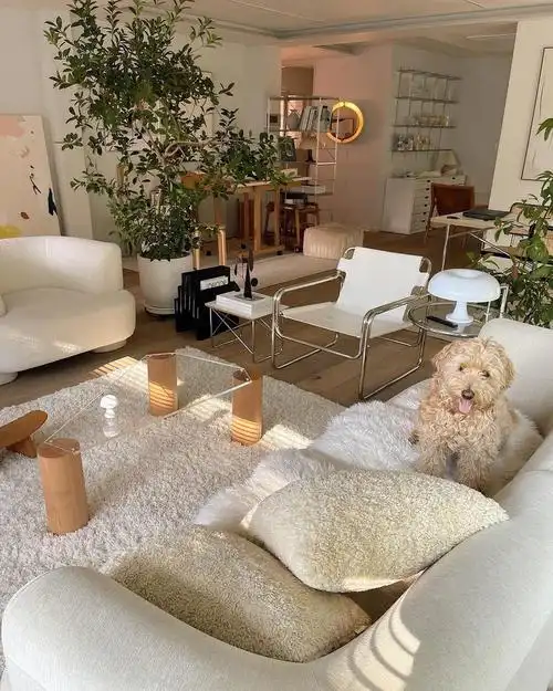 这真的就是我梦想中的家啊7575