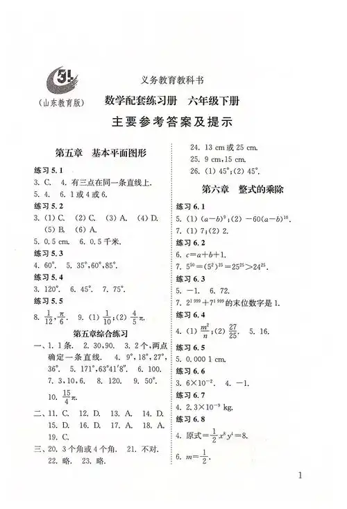 2020年配套练习册六年级数学下册鲁教版五四制山东教育出版社答案