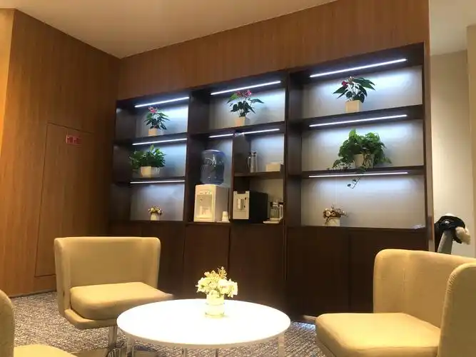 招商银行万泉河支行3.0网点新春新老客户大回馈