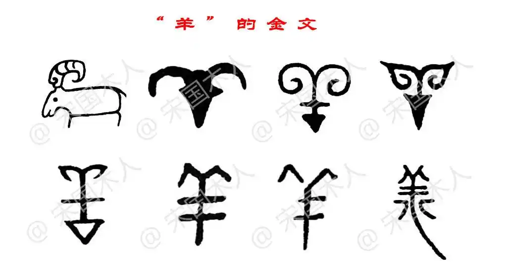 羊:汉字的起源与演变(小学一年级语文生字 第65集)