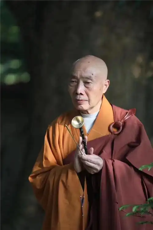 华开花落 水流无声 纪念妙湛老法师往生一周年