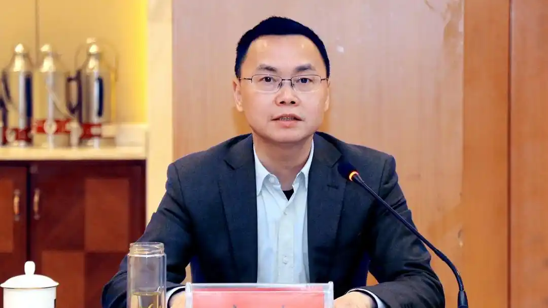 桃源县委书记庞波讲话.