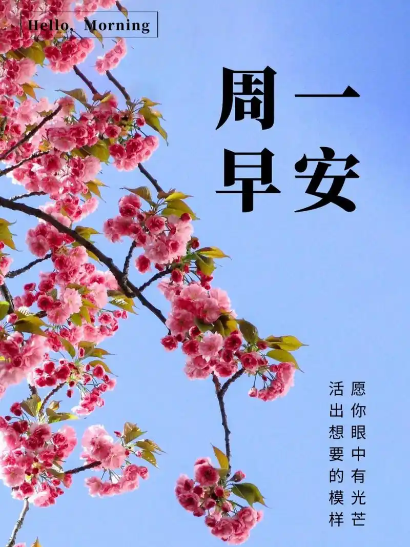 周一早安心语,早上好问候语 每个清晨,都是一个新的开始.