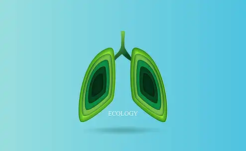 创意设计剪纸和工艺风格层表面阴影.生态森林氧气模板.