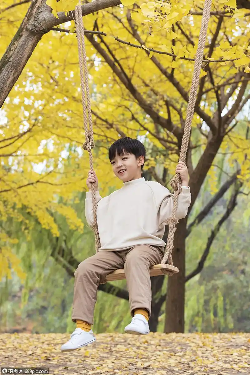 秋季小男孩公园银杏树下荡秋千童年人像